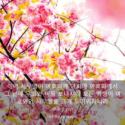 Picture 03 - 사무엘상 12:18 KOR - 이에 사무엘이 여호와께 아뢰매 - Bible Verse Picture