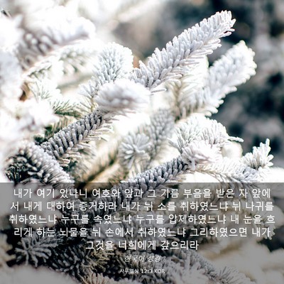 Picture 03 - 사무엘상 12:3 KOR - 내가 여기 있나니 여호와 앞과 그 - Bible Verse Picture