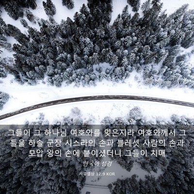 Picture 03 - 사무엘상 12:9 KOR - 그들이 그 하나님 여호와를 잊은지라 - Bible Verse Picture