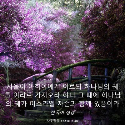 Picture 03 - 사무엘상 14:18 KOR - 사울이 아히야에게 이르되 하나님의 - Bible Verse Picture