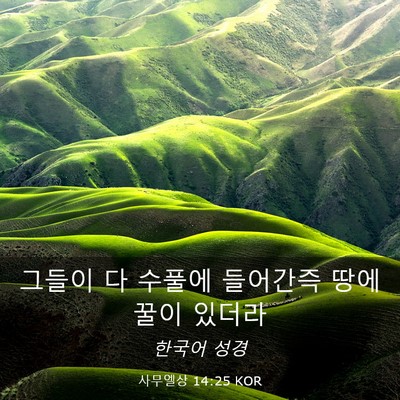 Picture 03 - 사무엘상 14:25 KOR - 그들이 다 수풀에 들어간즉 땅에 - Bible Verse Picture