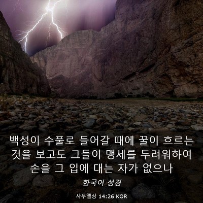 Picture 03 - 사무엘상 14:26 KOR - 백성이 수풀로 들어갈 때에 꿀이 - Bible Verse Picture