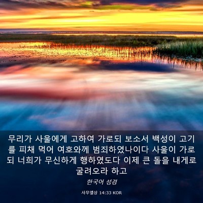 Picture 03 - 사무엘상 14:33 KOR - 무리가 사울에게 고하여 가로되 - Bible Verse Picture