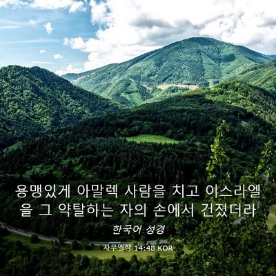 Picture 03 - 사무엘상 14:48 KOR - 용맹있게 아말렉 사람을 치고 - Bible Verse Picture