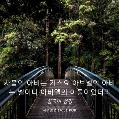 Picture 03 - 사무엘상 14:51 KOR - 사울의 아비는 기스요 아브넬의 - Bible Verse Picture