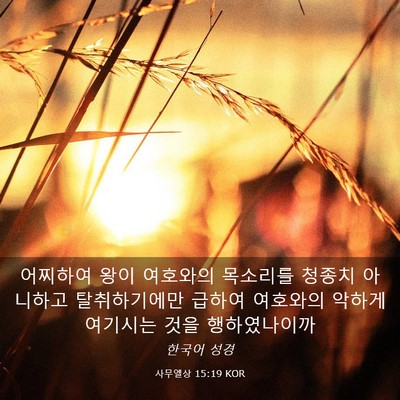 Picture 03 - 사무엘상 15:19 KOR - 어찌하여 왕이 여호와의 목소리를 - Bible Verse Picture