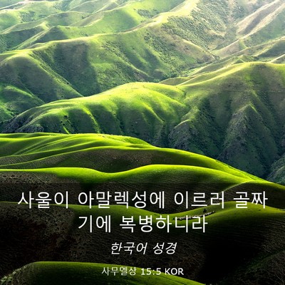 Picture 03 - 사무엘상 15:5 KOR - 사울이 아말렉성에 이르러 골짜기에 - Bible Verse Picture
