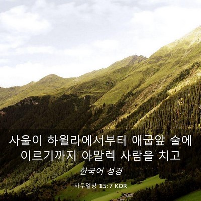 Picture 03 - 사무엘상 15:7 KOR - 사울이 하윌라에서부터 애굽앞 술에 - Bible Verse Picture