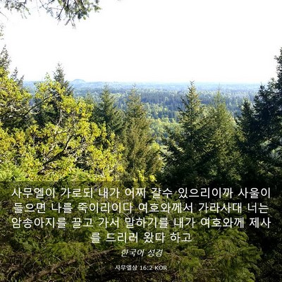 Picture 03 - 사무엘상 16:2 KOR - 사무엘이 가로되 내가 어찌 갈수 - Bible Verse Picture
