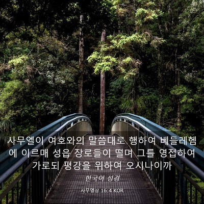 Picture 03 - 사무엘상 16:4 KOR - 사무엘이 여호와의 말씀대로 행하여 - Bible Verse Picture