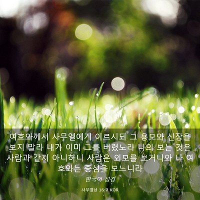 Picture 03 - 사무엘상 16:7 KOR - 여호와께서 사무엘에게 이르시되 그 - Bible Verse Picture