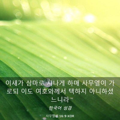 Picture 03 - 사무엘상 16:9 KOR - 이새가 삼마로 지나게 하매 사무엘이 - Bible Verse Picture