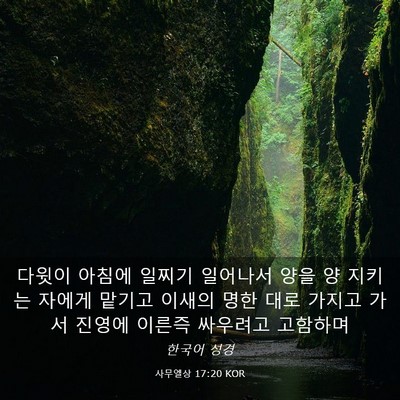 Picture 03 - 사무엘상 17:20 KOR - 다윗이 아침에 일찌기 일어나서 양을 - Bible Verse Picture