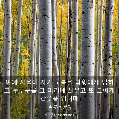 Picture 03 - 사무엘상 17:38 KOR - 이에 사울이 자기 군복을 다윗에게 - Bible Verse Picture