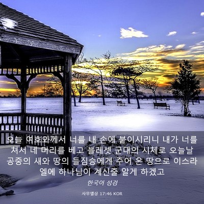 Picture 03 - 사무엘상 17:46 KOR - 오늘 여호와께서 너를 내 손에 - Bible Verse Picture