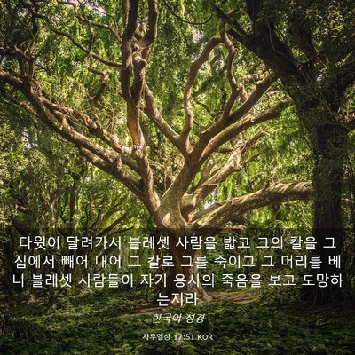 Picture 03 - 사무엘상 17:51 KOR - 다윗이 달려가서 블레셋 사람을 밟고 - Bible Verse Picture