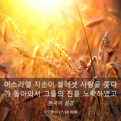 Picture 03 - 사무엘상 17:53 KOR - 이스라엘 자손이 블레셋 사람을 - Bible Verse Picture