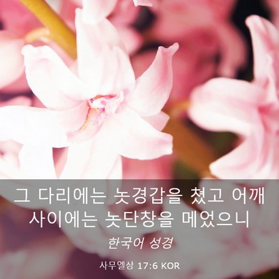 Picture 03 - 사무엘상 17:6 KOR - 그 다리에는 놋경갑을 쳤고 어깨 - Bible Verse Picture