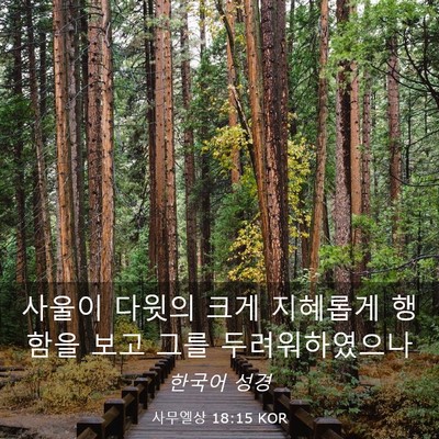 Picture 03 - 사무엘상 18:15 KOR - 사울이 다윗의 크게 지혜롭게 행함을 - Bible Verse Picture