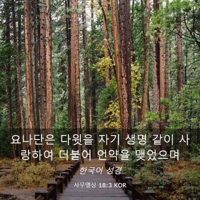 Picture 03 - 사무엘상 18:3 KOR - 요나단은 다윗을 자기 생명 같이 - Bible Verse Picture