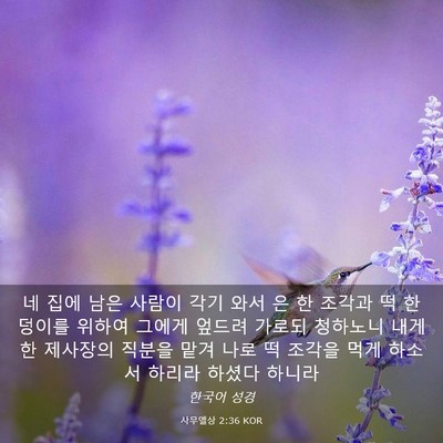 Picture 03 - 사무엘상 2:36 KOR - 네 집에 남은 사람이 각기 와서 은 한 - Bible Verse Picture