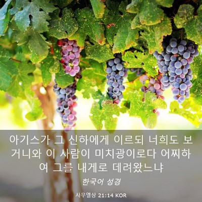 Picture 03 - 사무엘상 21:14 KOR - 아기스가 그 신하에게 이르되 너희도 - Bible Verse Picture