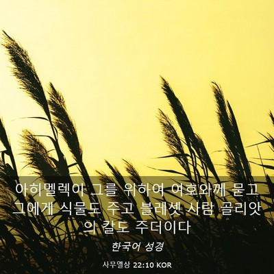 Picture 03 - 사무엘상 22:10 KOR - 아히멜렉이 그를 위하여 여호와께 - Bible Verse Picture