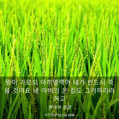 Picture 03 - 사무엘상 22:16 KOR - 왕이 가로되 아히멜렉아 네가 반드시 - Bible Verse Picture