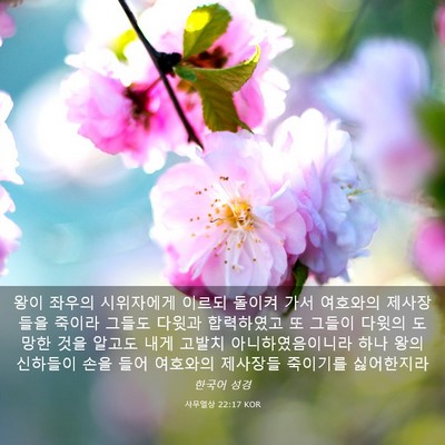 Picture 03 - 사무엘상 22:17 KOR - 왕이 좌우의 시위자에게 이르되 - Bible Verse Picture