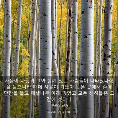 Picture 03 - 사무엘상 22:6 KOR - 사울이 다윗과 그와 함께 있는 - Bible Verse Picture
