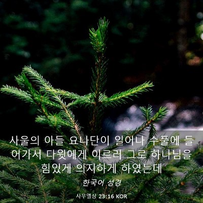 Picture 03 - 사무엘상 23:16 KOR - 사울의 아들 요나단이 일어나 수풀에 - Bible Verse Picture