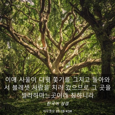 Picture 03 - 사무엘상 23:28 KOR - 이에 사울이 다윗 쫓기를 그치고 - Bible Verse Picture