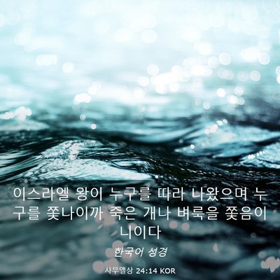Picture 03 - 사무엘상 24:14 KOR - 이스라엘 왕이 누구를 따라 나왔으며 - Bible Verse Picture