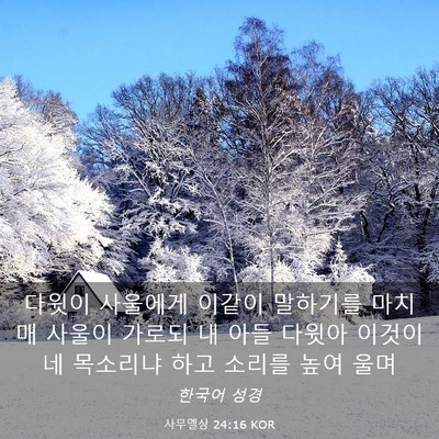 Picture 03 - 사무엘상 24:16 KOR - 다윗이 사울에게 이같이 말하기를 - Bible Verse Picture