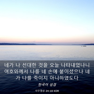 Picture 03 - 사무엘상 24:18 KOR - 네가 나 선대한 것을 오늘 - Bible Verse Picture