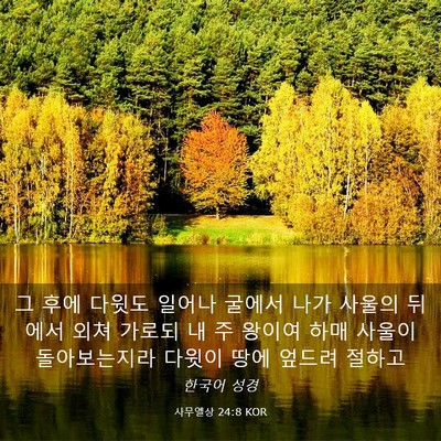 Picture 03 - 사무엘상 24:8 KOR - 그 후에 다윗도 일어나 굴에서 나가 - Bible Verse Picture
