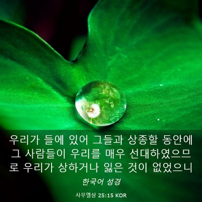 Picture 03 - 사무엘상 25:15 KOR - 우리가 들에 있어 그들과 상종할 - Bible Verse Picture