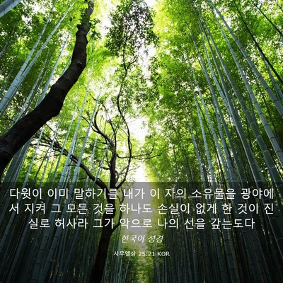 Picture 03 - 사무엘상 25:21 KOR - 다윗이 이미 말하기를 내가 이 자의 - Bible Verse Picture