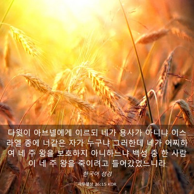 Picture 03 - 사무엘상 26:15 KOR - 다윗이 아브넬에게 이르되 네가 - Bible Verse Picture