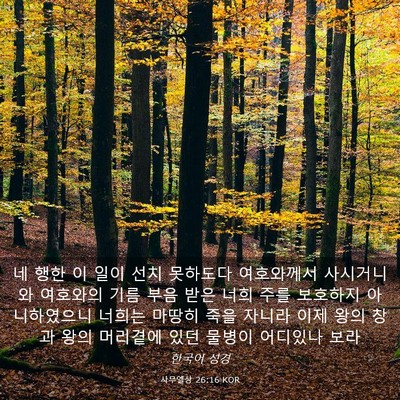 Picture 03 - 사무엘상 26:16 KOR - 네 행한 이 일이 선치 못하도다 - Bible Verse Picture