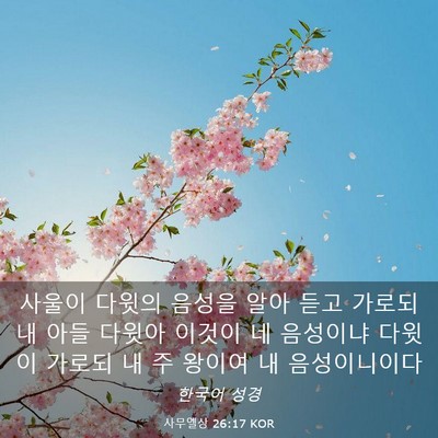 Picture 03 - 사무엘상 26:17 KOR - 사울이 다윗의 음성을 알아 듣고 - Bible Verse Picture
