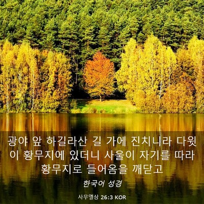 Picture 03 - 사무엘상 26:3 KOR - 광야 앞 하길라산 길 가에 진치니라 - Bible Verse Picture