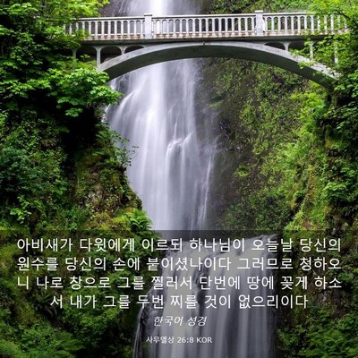 Picture 03 - 사무엘상 26:8 KOR - 아비새가 다윗에게 이르되 하나님이 - Bible Verse Picture