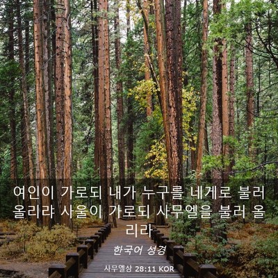 Picture 03 - 사무엘상 28:11 KOR - 여인이 가로되 내가 누구를 네게로 - Bible Verse Picture