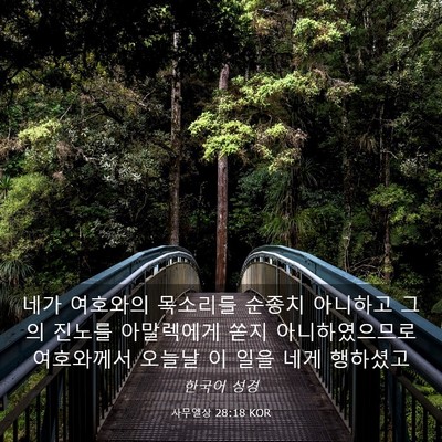 Picture 03 - 사무엘상 28:18 KOR - 네가 여호와의 목소리를 순종치 - Bible Verse Picture