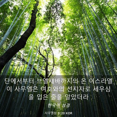 Picture 03 - 사무엘상 3:20 KOR - 단에서부터 브엘세바까지의 온 - Bible Verse Picture