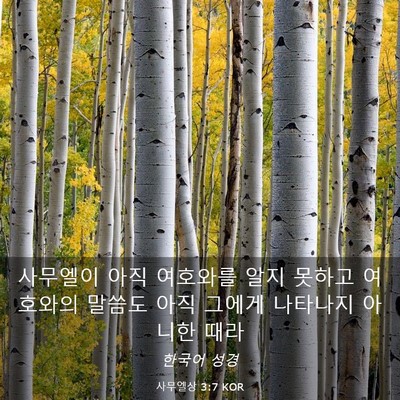 Picture 03 - 사무엘상 3:7 KOR - 사무엘이 아직 여호와를 알지 못하고 - Bible Verse Picture