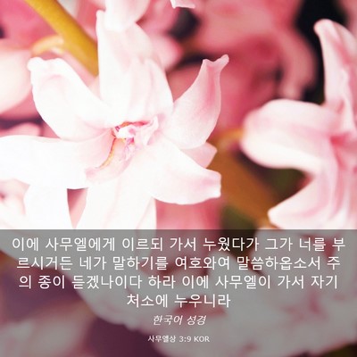 Picture 03 - 사무엘상 3:9 KOR - 이에 사무엘에게 이르되 가서 - Bible Verse Picture