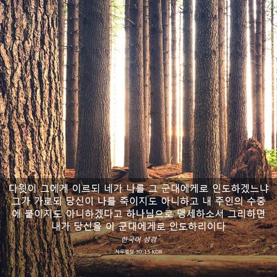 Picture 03 - 사무엘상 30:15 KOR - 다윗이 그에게 이르되 네가 나를 그 - Bible Verse Picture