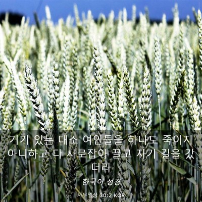 Picture 03 - 사무엘상 30:2 KOR - 거기 있는 대소 여인들을 하나도 - Bible Verse Picture